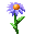 Flax Plant