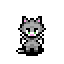 Gray Cat