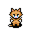 Orange Cat