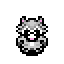 Raccoon