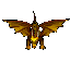Gold Dragon