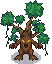 Ent